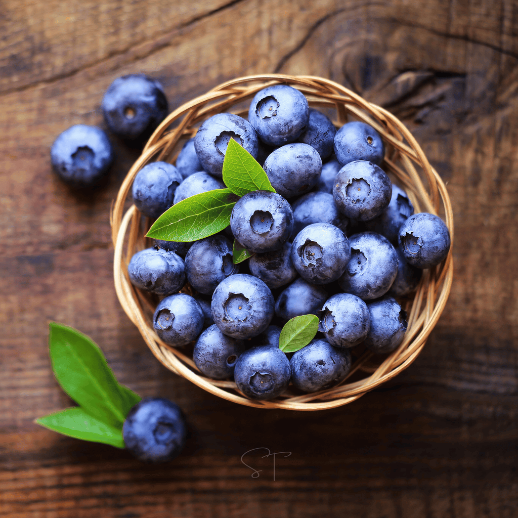 Northern Highbush Blueberry – 50 Seeds | | Wiccan Center