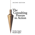The Consulting Process in Action - Paperback | Books | Wiccan Center