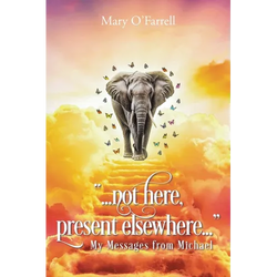 Not Here, Present Elsewhere: My Messages from Michael - Paperback | Books | Wiccan Center