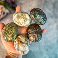 Ocean Jasper Palmstones | | Wiccan Center