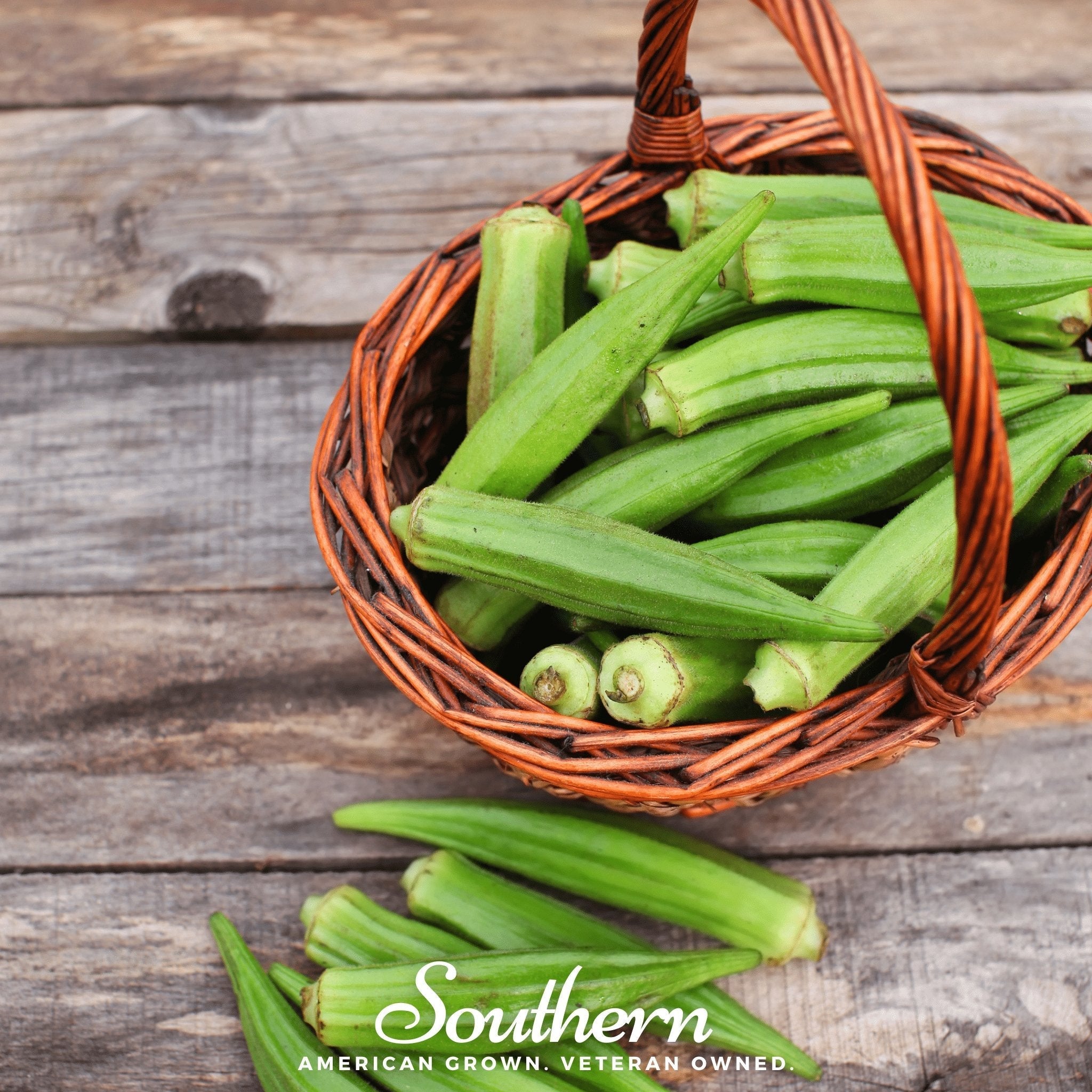 Clemson Spineless Okra – 50 Seeds | Seeds | Wiccan Center