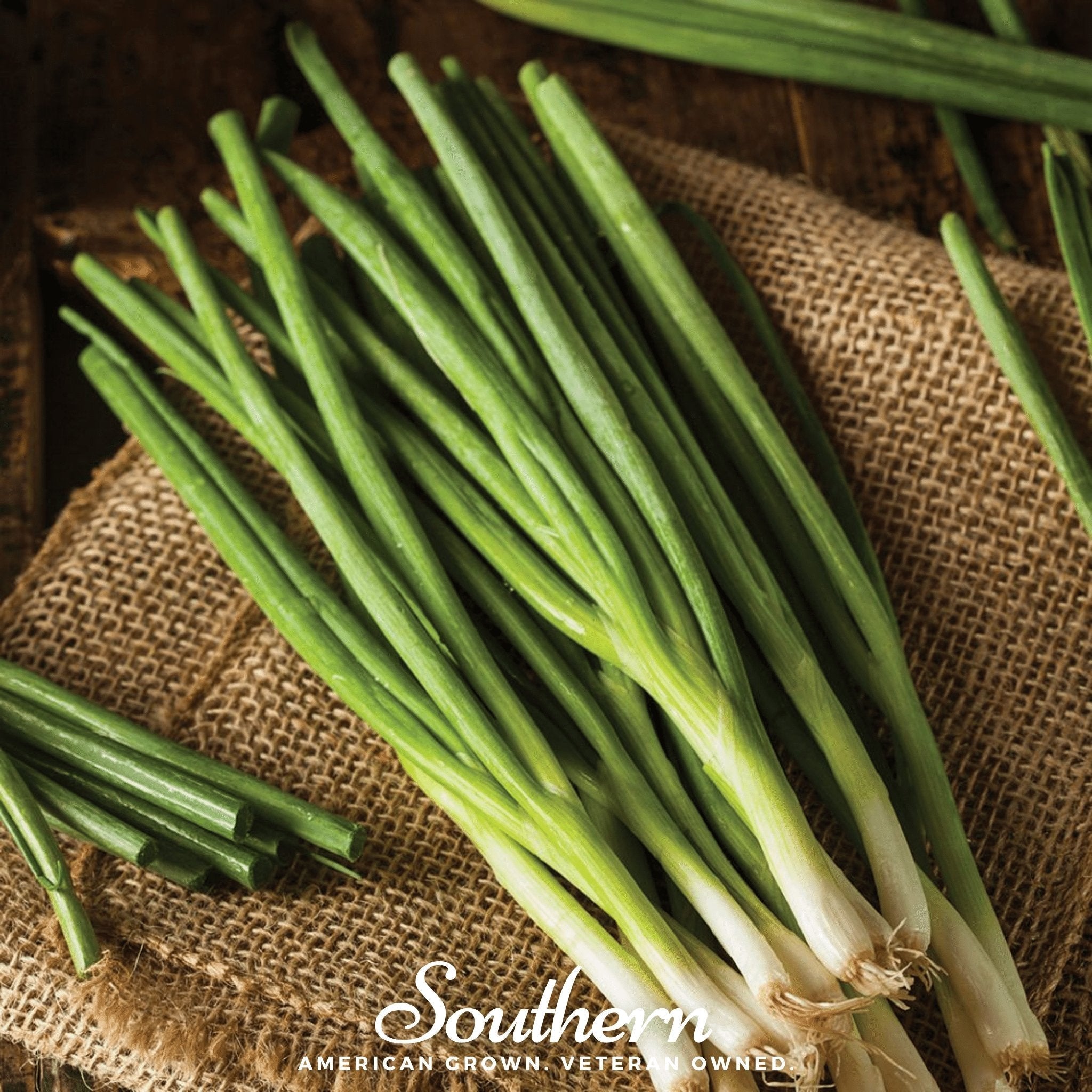 Evergreen Bunching Onion – 200 Seeds | | Wiccan Center