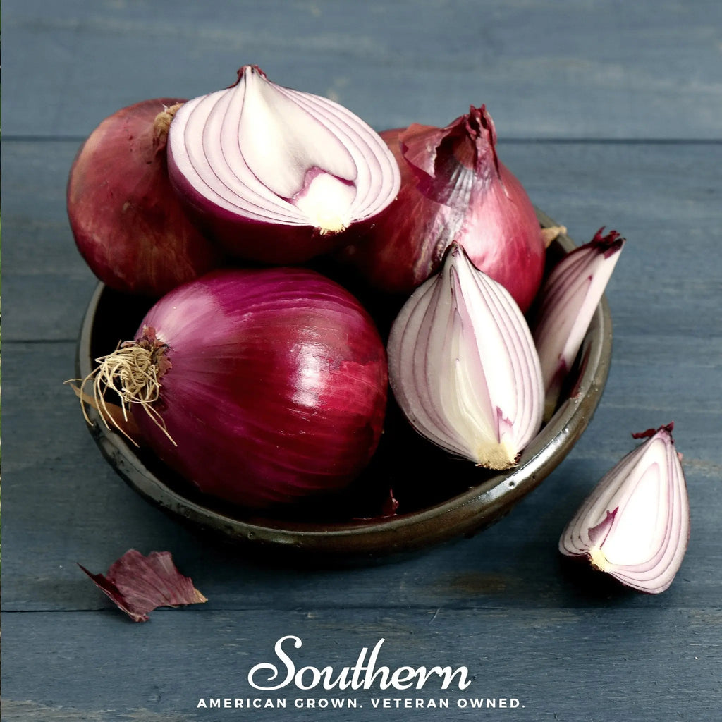 Red Burgundy Onion – 200 Seeds | Seeds | Wiccan Center