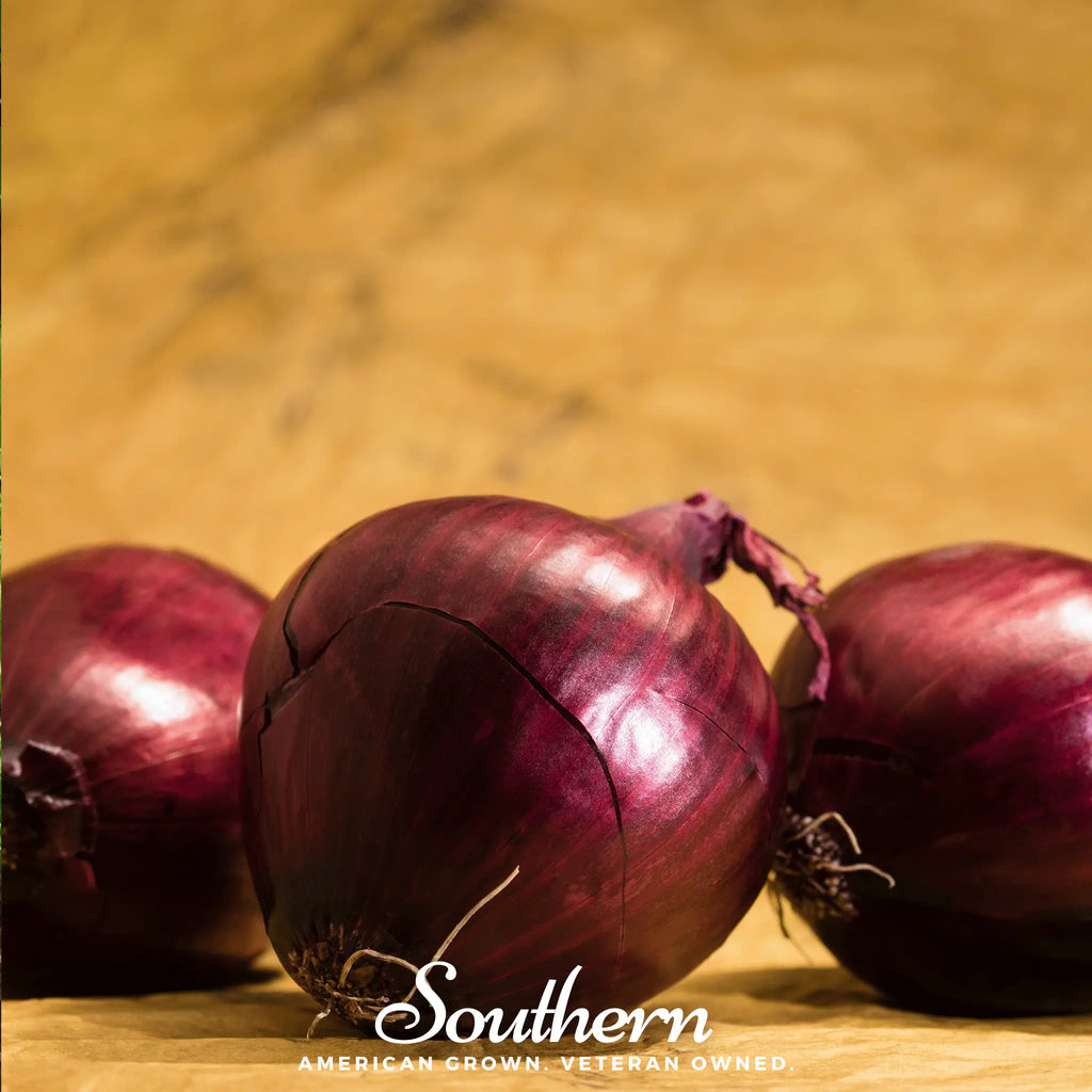 Red Burgundy Onion – 200 Seeds | Seeds | Wiccan Center