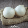 Spanish White Sweet Onion – 200 Seeds | | Wiccan Center