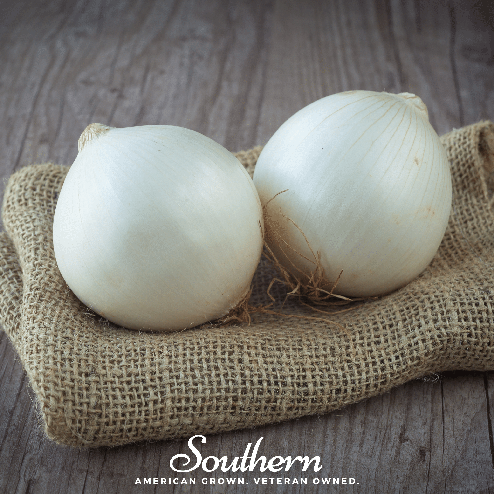 Spanish White Sweet Onion – 200 Seeds | | Wiccan Center