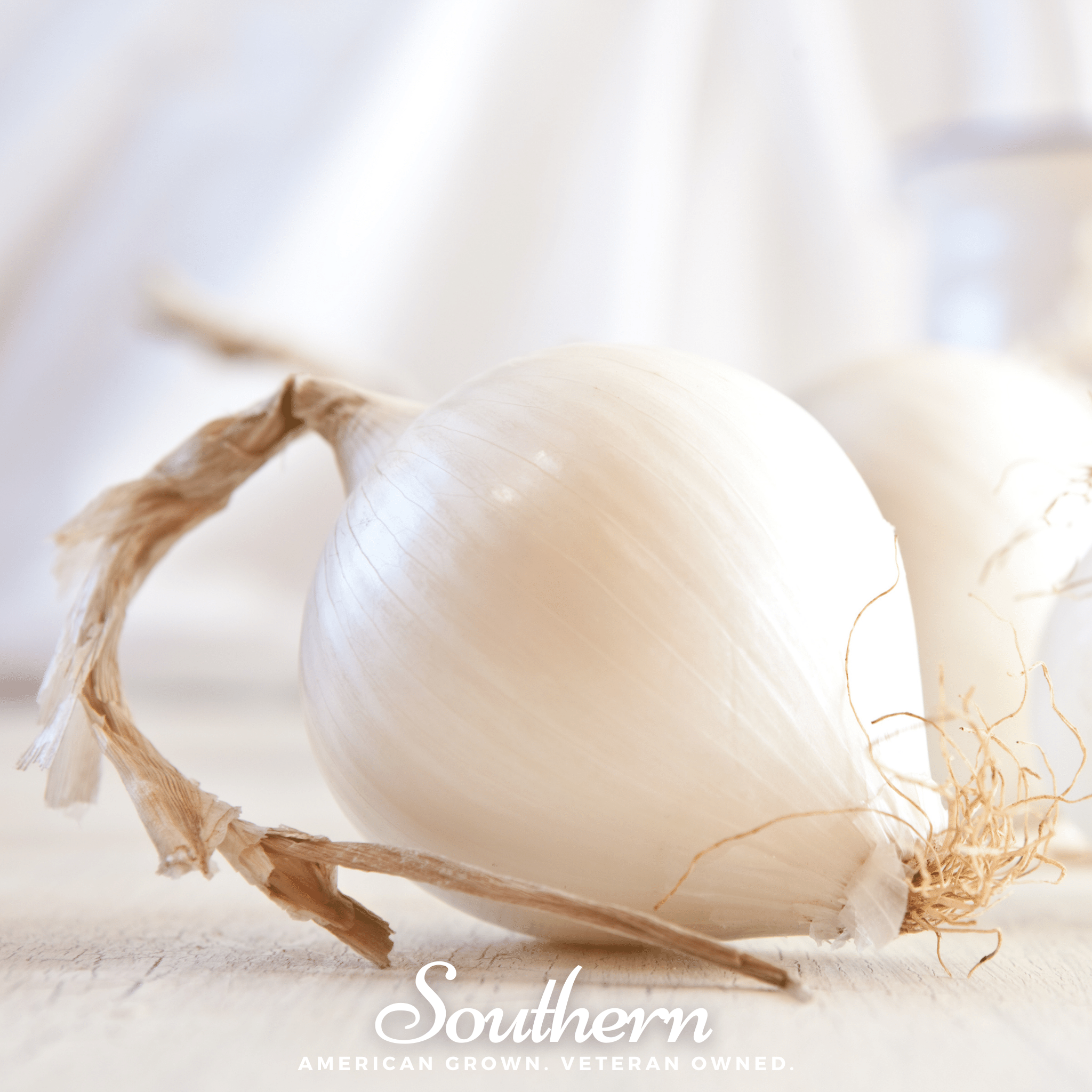 Spanish White Sweet Onion – 200 Seeds | | Wiccan Center