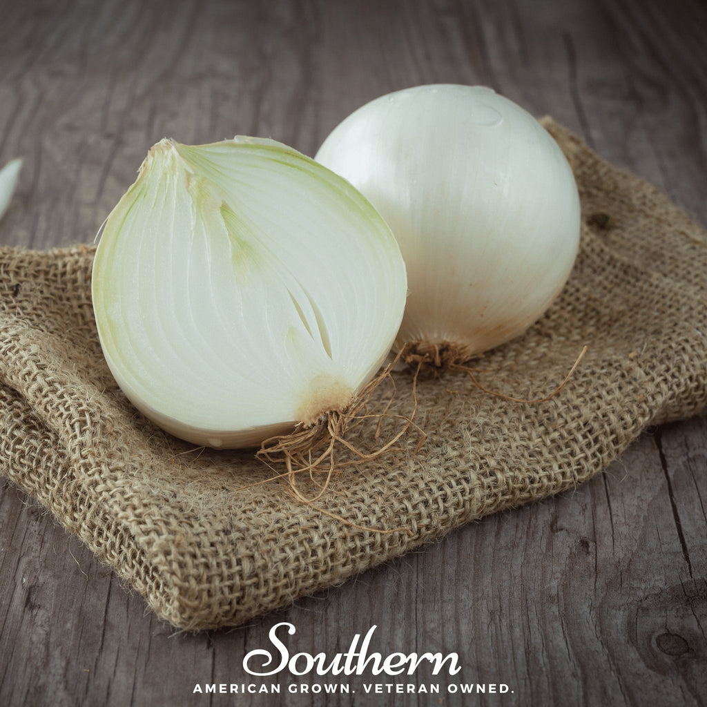 Spanish White Sweet Onion – 200 Seeds | | Wiccan Center