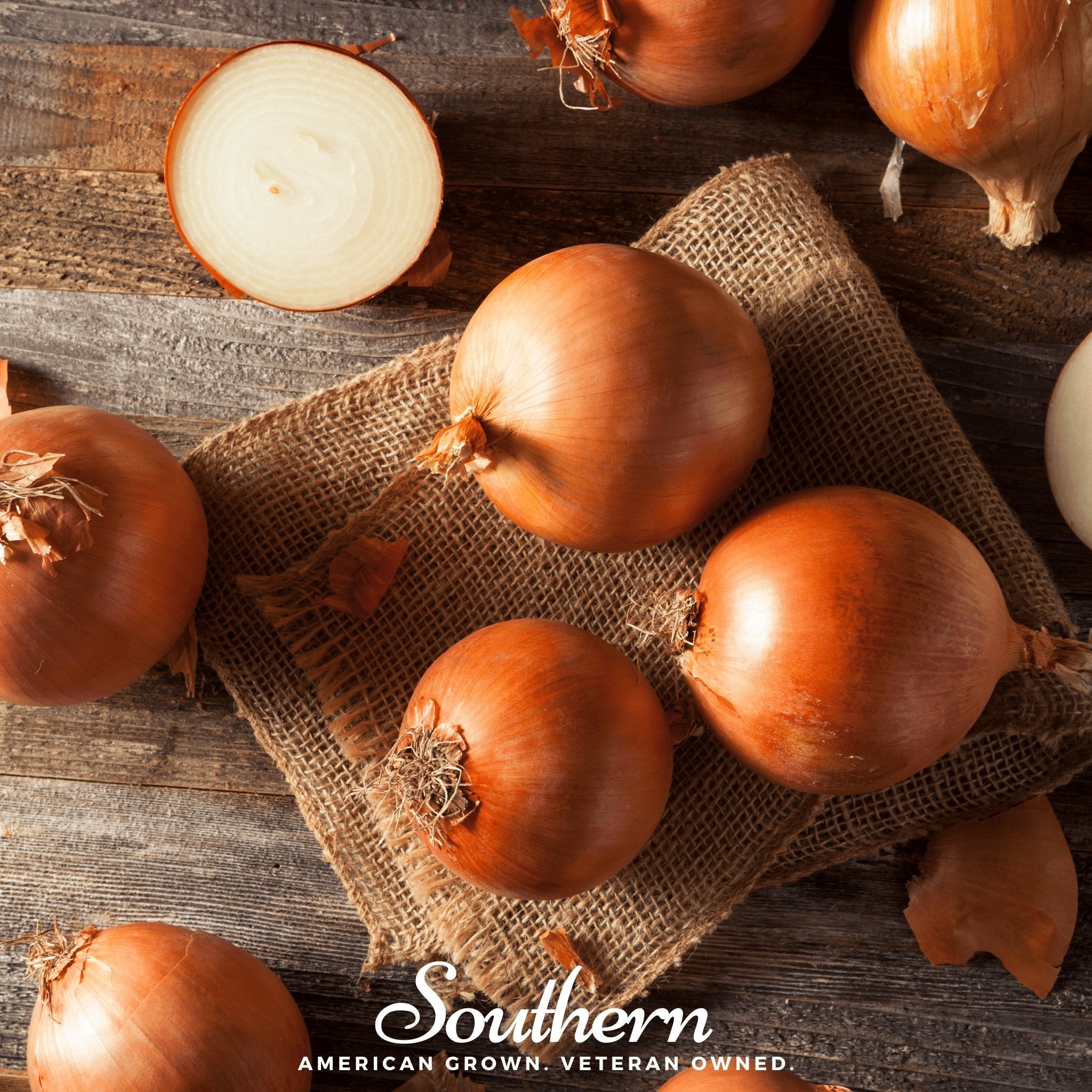 Spanish Yellow Sweet Onion – 200 Seeds | | Wiccan Center