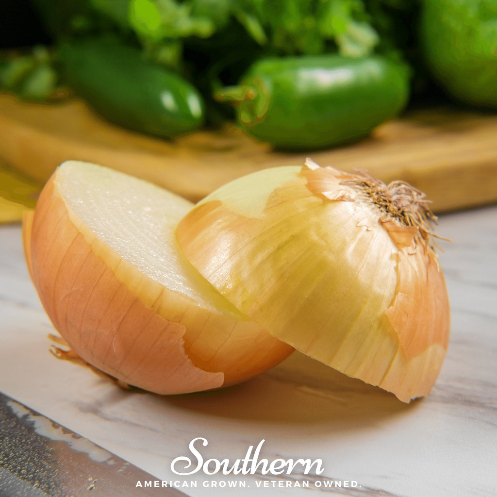 Spanish Yellow Sweet Onion – 200 Seeds | | Wiccan Center