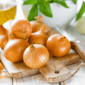 Texas Grano Early Onion – 200 Seeds | Seeds | Wiccan Center
