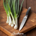Tokyo Long White Onion – 200 Seeds | | Wiccan Center