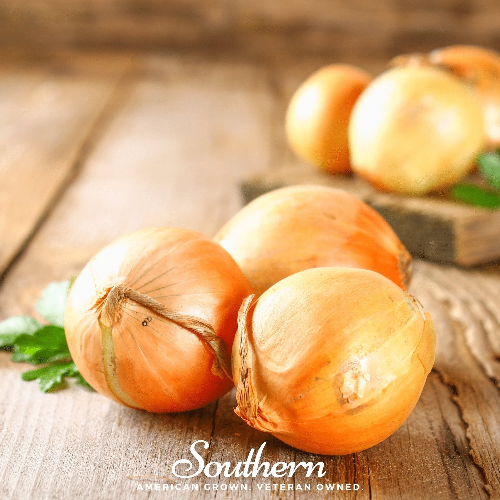 Utah Yellow Sweet Spanish Onion – 200 Seeds | | Wiccan Center