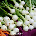 Walla Walla Onion – 200 Seeds | | Wiccan Center