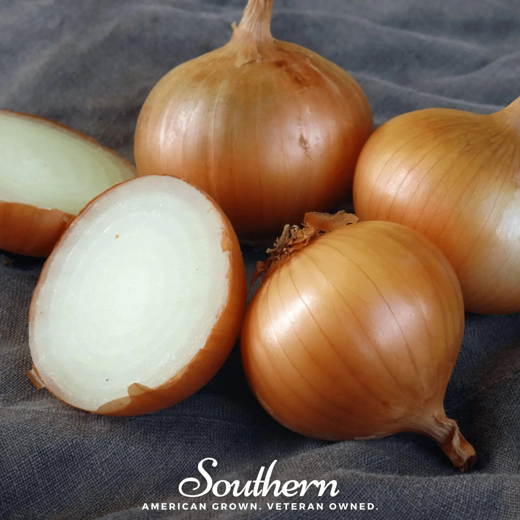 Walla Walla Onion – 200 Seeds | | Wiccan Center