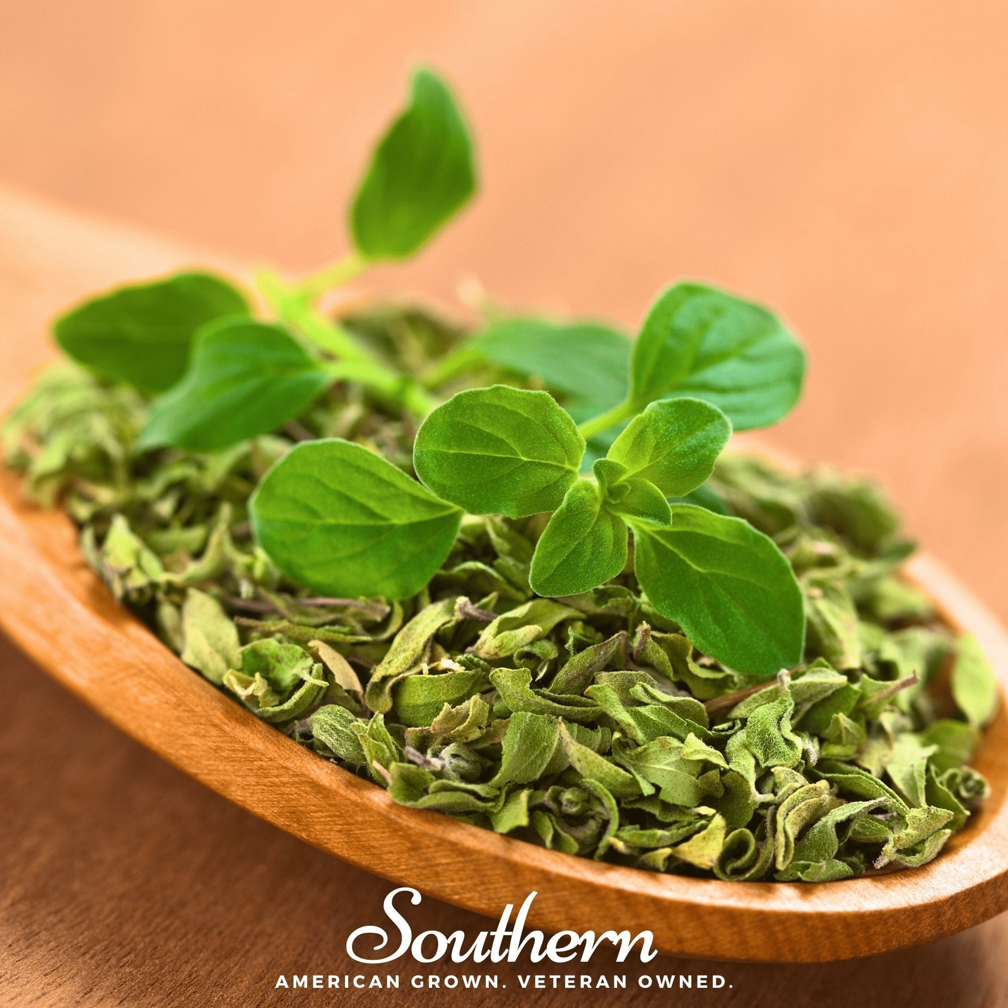 Italian Oregano – 200 Seeds | | Wiccan Center
