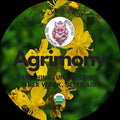 Herb Garden - Organic Agrimony .25oz | Herbs | Wiccan Center