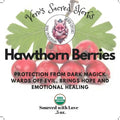 Herb Garden - Organic Whole Hawthorn Berries .5 oz | Herbs | Wiccan Center