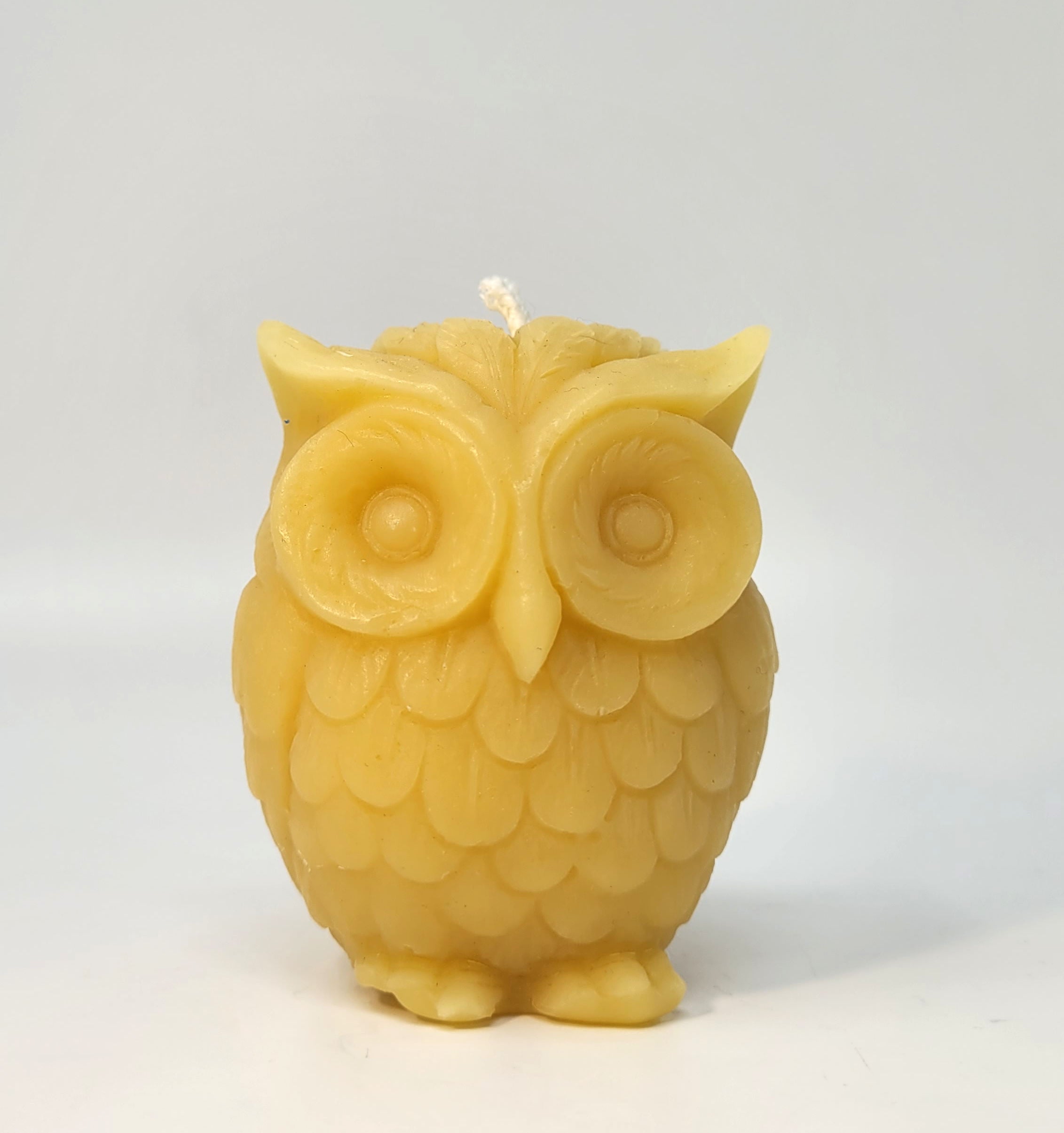 Wise Old Owl Candle | Candle | Wiccan Center