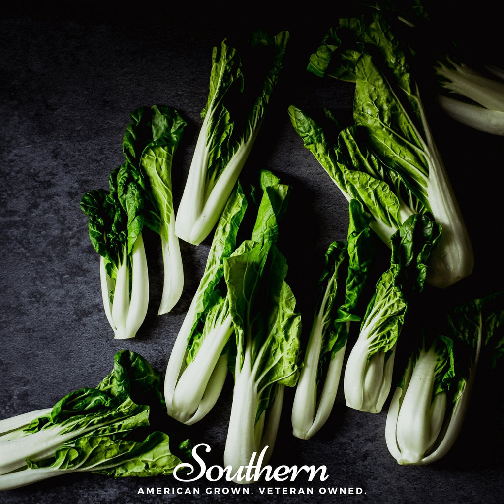 Canton Pak Choi – 100 Seeds | | Wiccan Center