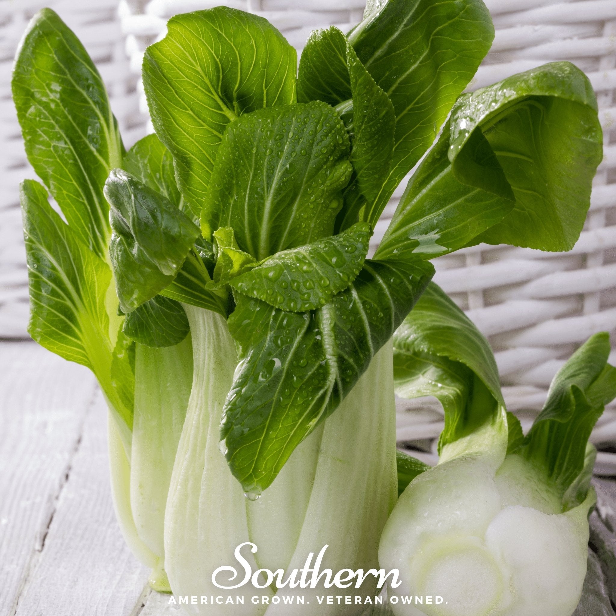 Canton Pak Choi – 100 Seeds | | Wiccan Center