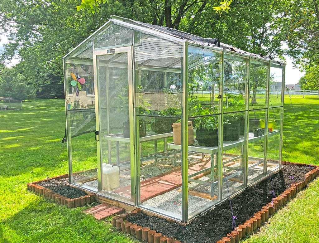 Palmetto Greenhouse 8' x 10' | Greenhouse 8x10 | Wiccan Center