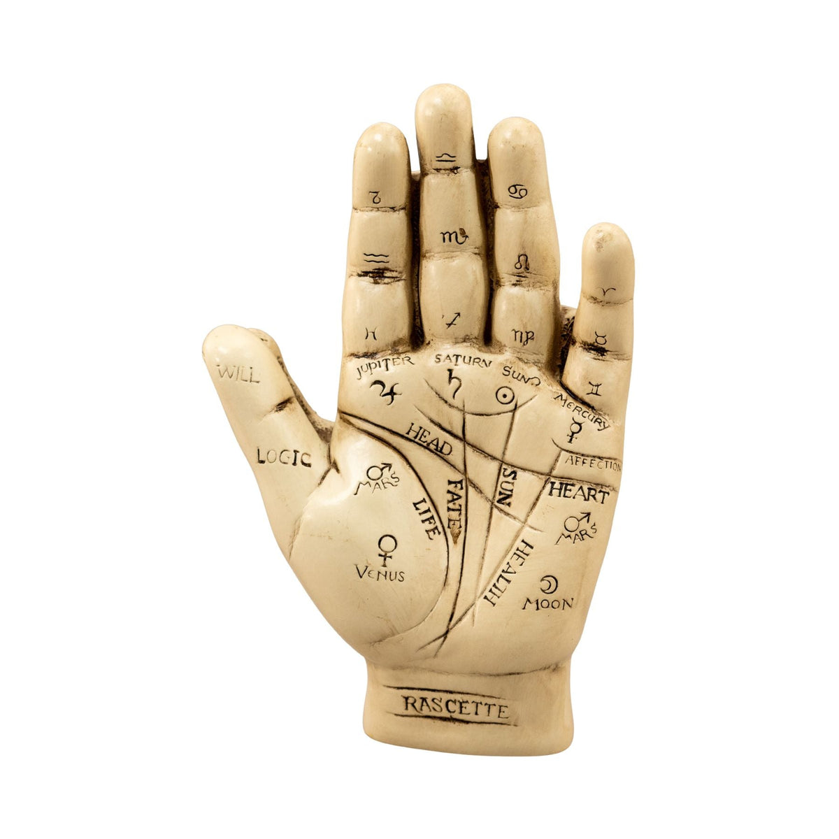Palmistry Hand Kit | Religious Items | Wiccan Center