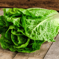 Parris Island Cos Lettuce – 500 Seeds | Seeds | Wiccan Center