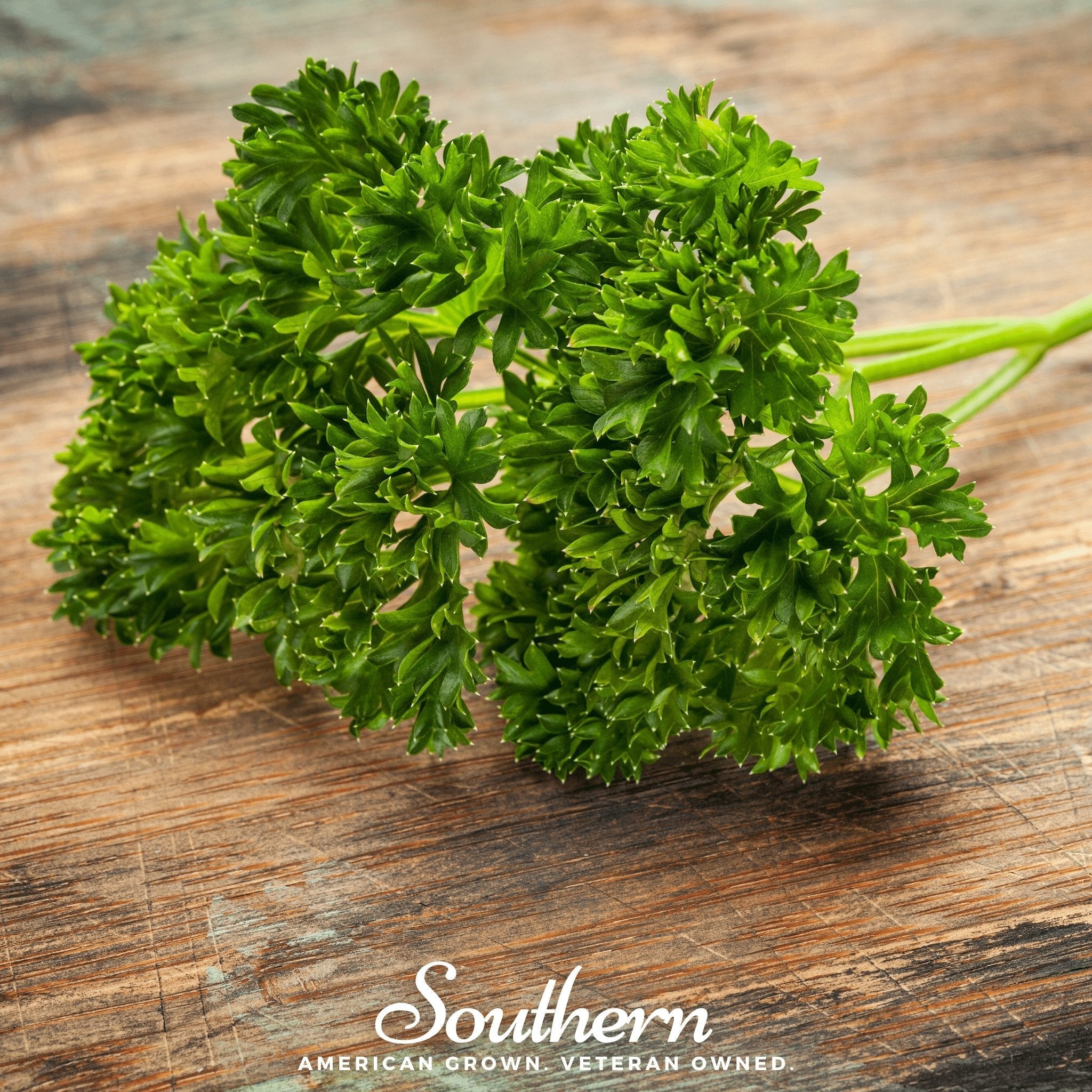 Triple Curled Parsley – 200 Seeds | | Wiccan Center