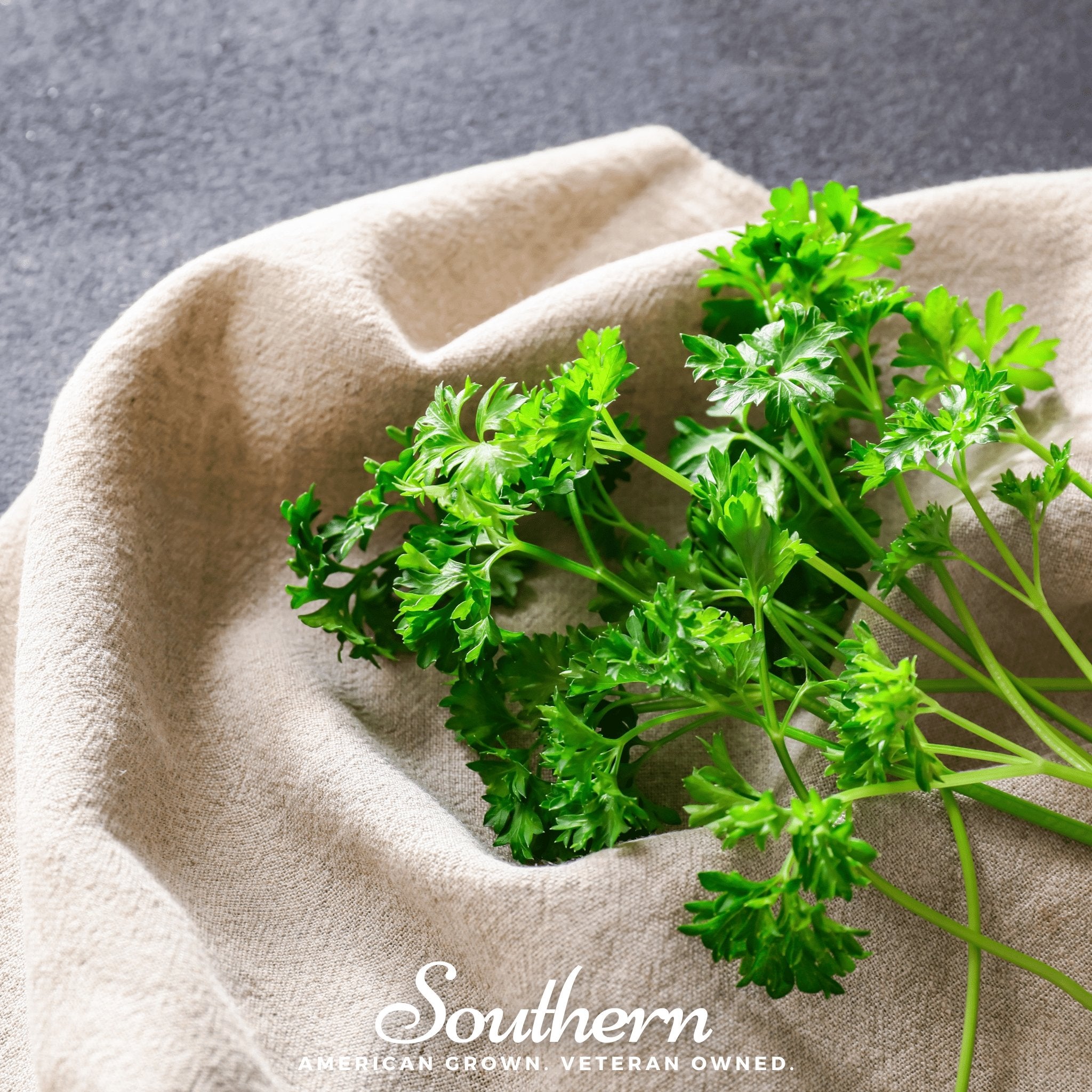 Triple Curled Parsley – 200 Seeds | | Wiccan Center