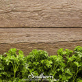 Triple Curled Parsley – 200 Seeds | | Wiccan Center