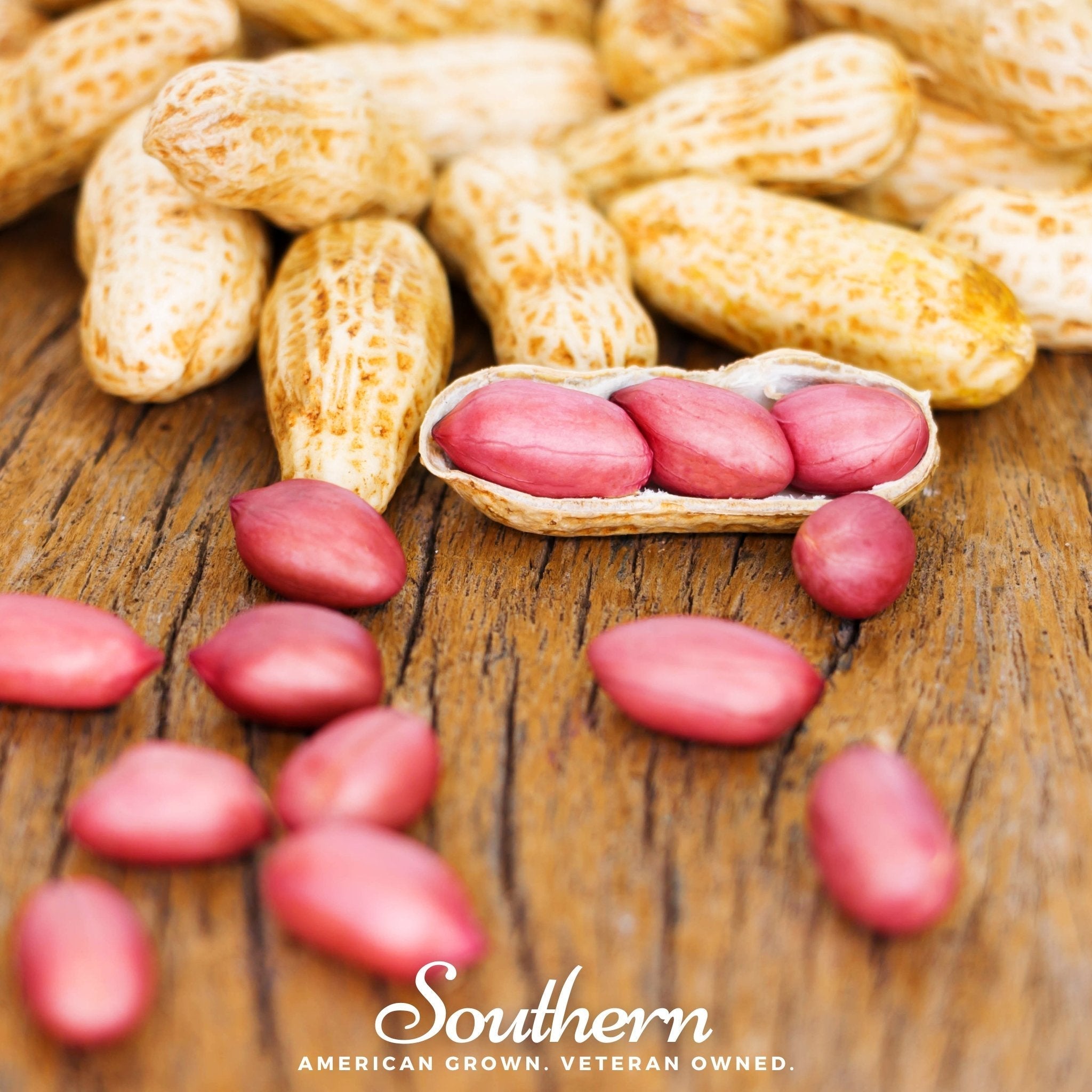 Tennessee Red Peanuts – 10 Seeds | Seeds | Wiccan Center
