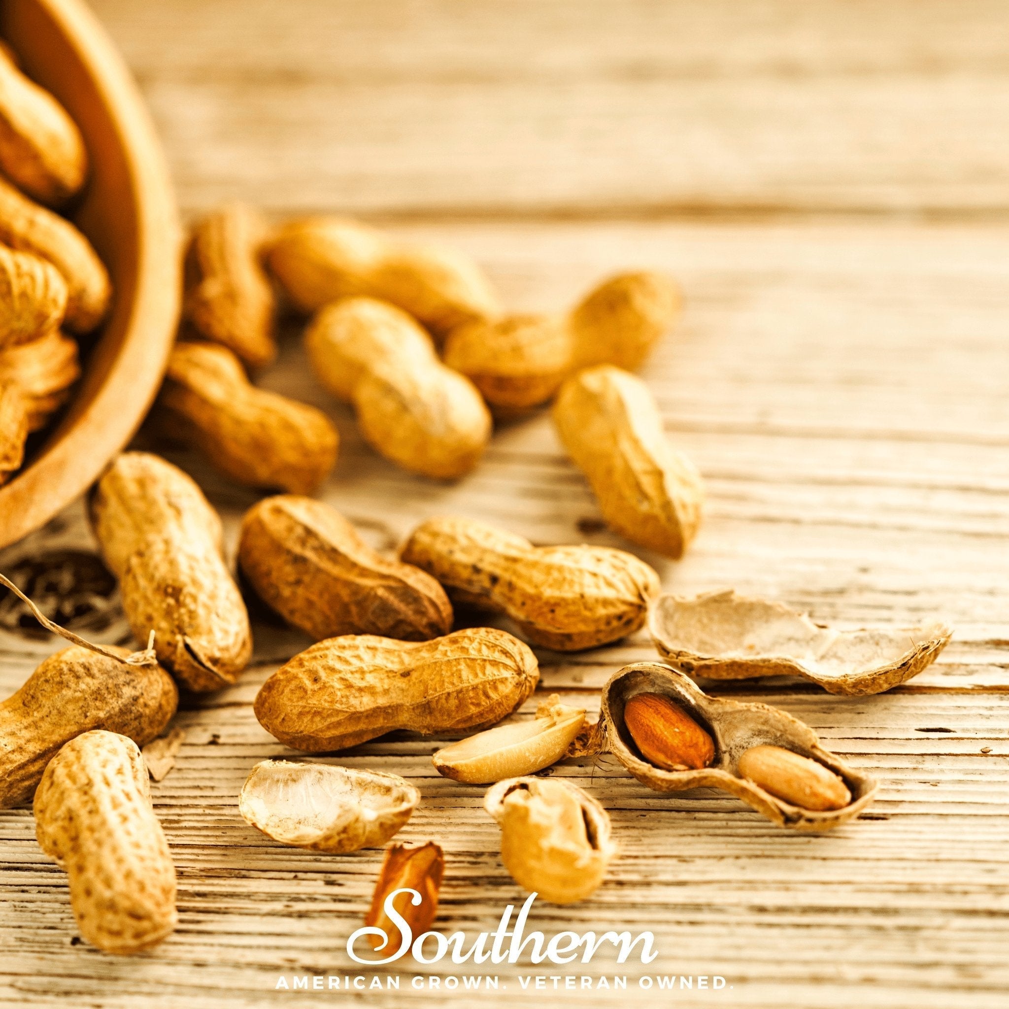 Virginia Jumbo Peanuts – 10 Seeds | | Wiccan Center