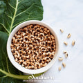 California Blackeye Peas – 20 Seeds | | Wiccan Center