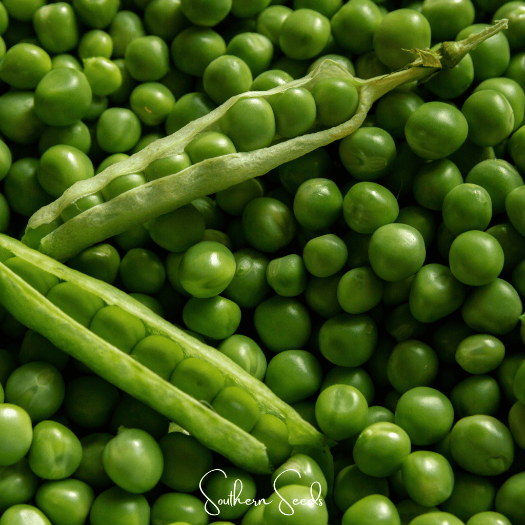 Early Frosty Peas – 25 Seeds | Seeds | Wiccan Center
