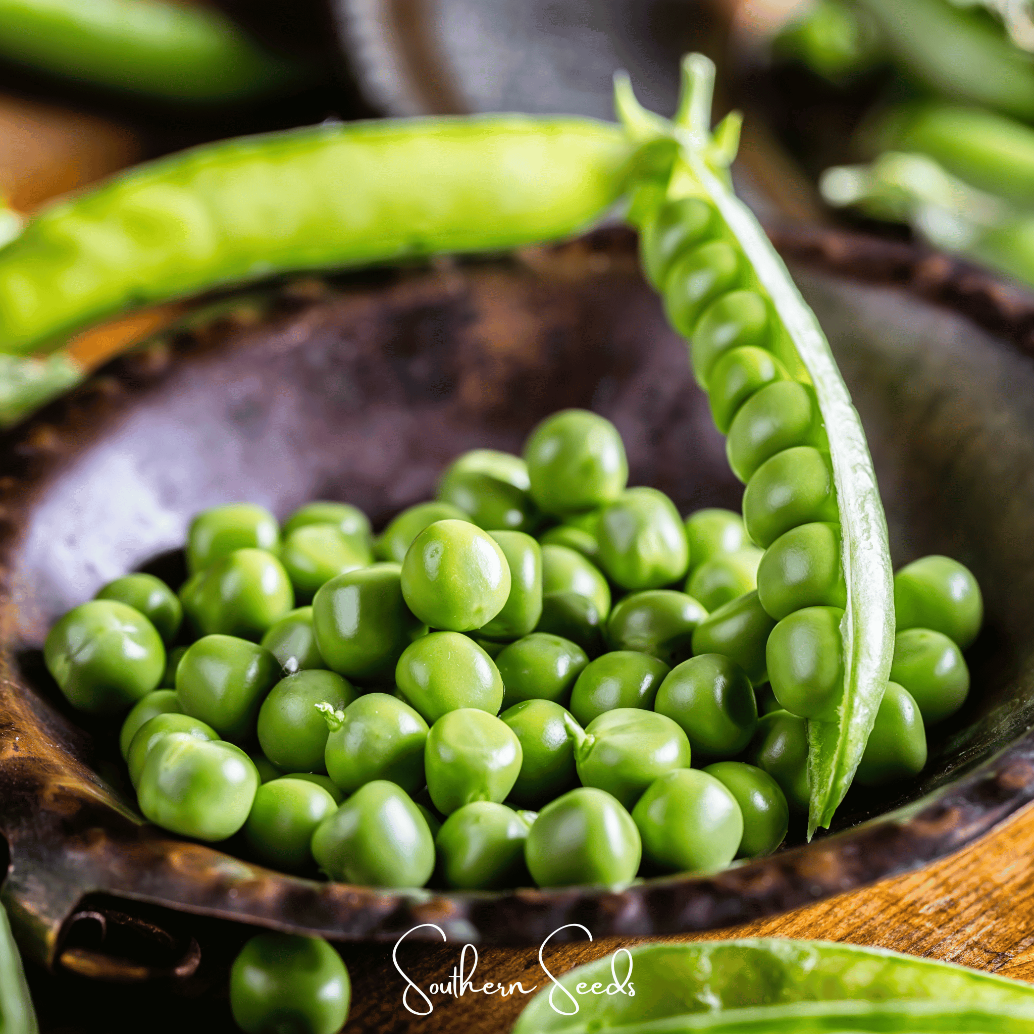 Early Frosty Peas – 25 Seeds | Seeds | Wiccan Center