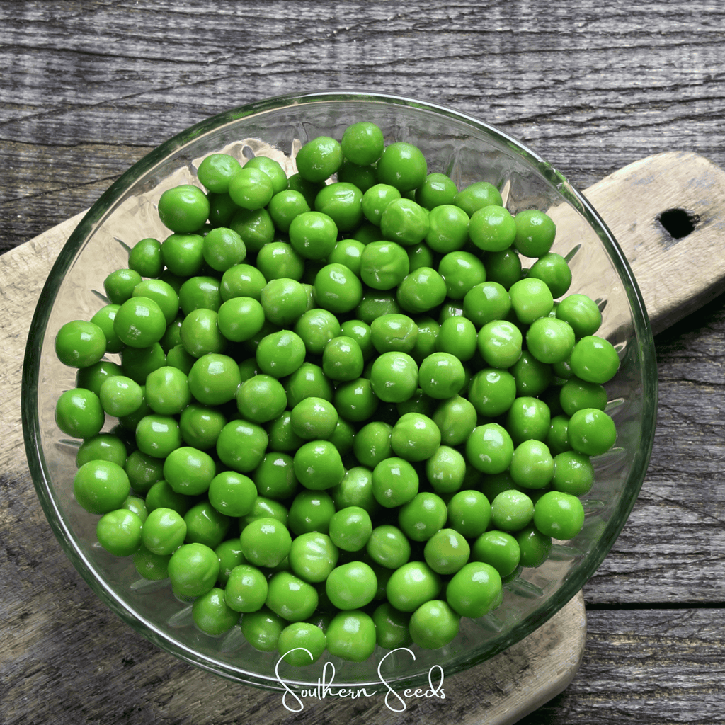 Early Frosty Peas – 25 Seeds | Seeds | Wiccan Center