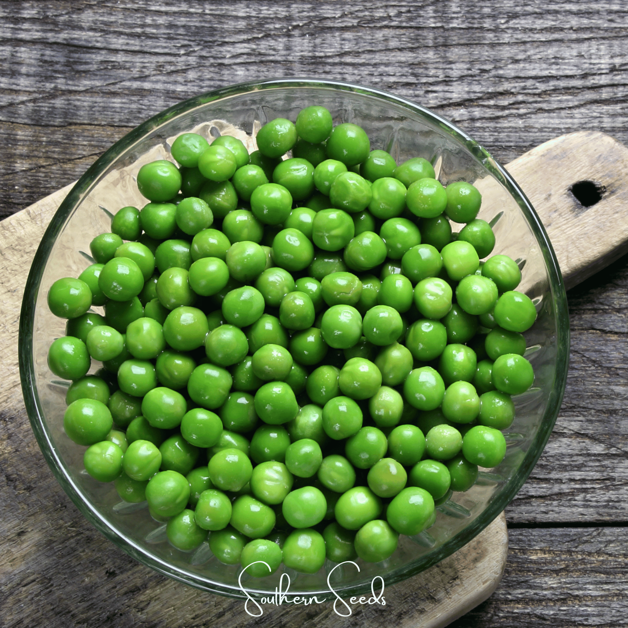 Early Frosty Peas – 25 Seeds | Seeds | Wiccan Center