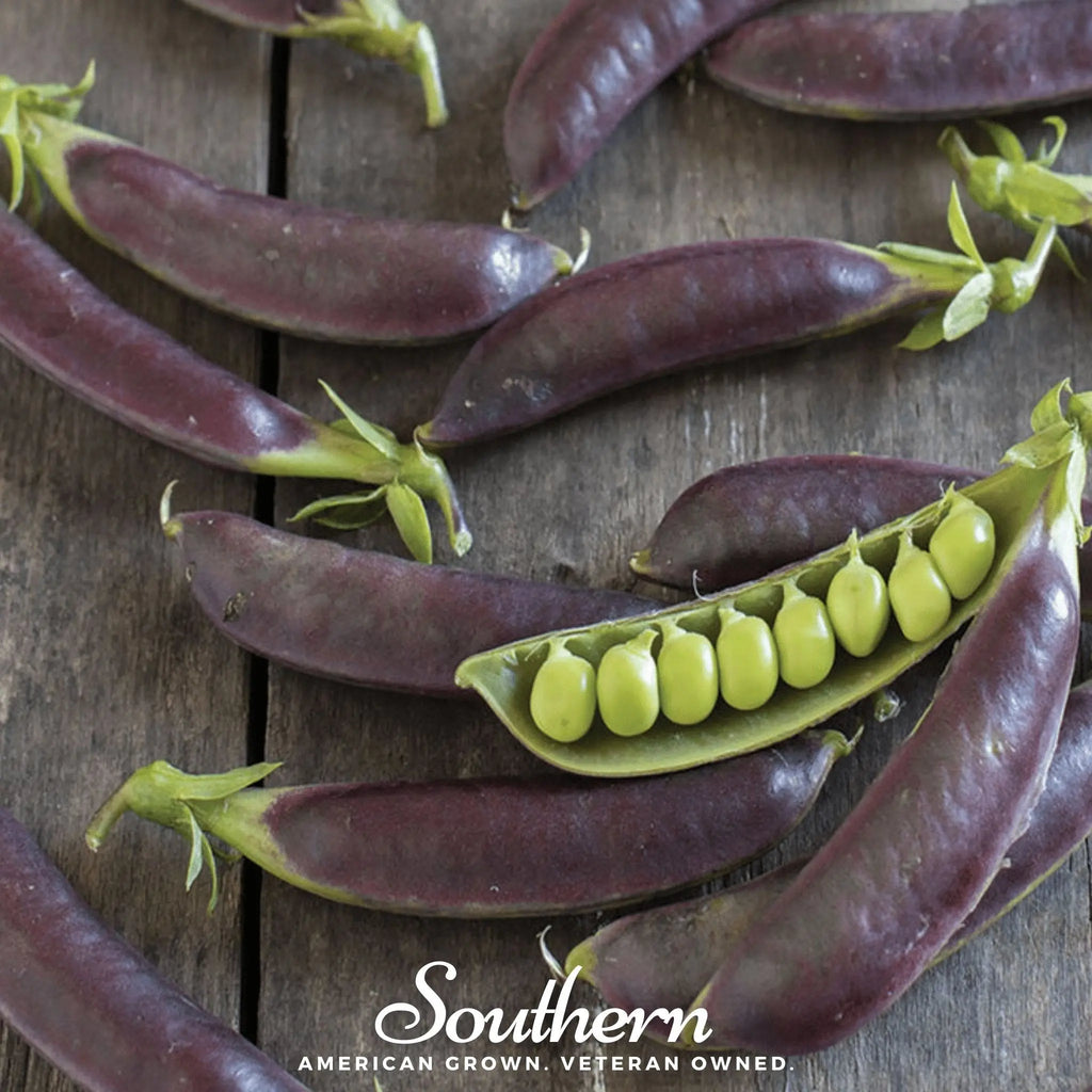 Royal Snap II Peas – 20 Seeds | | Wiccan Center