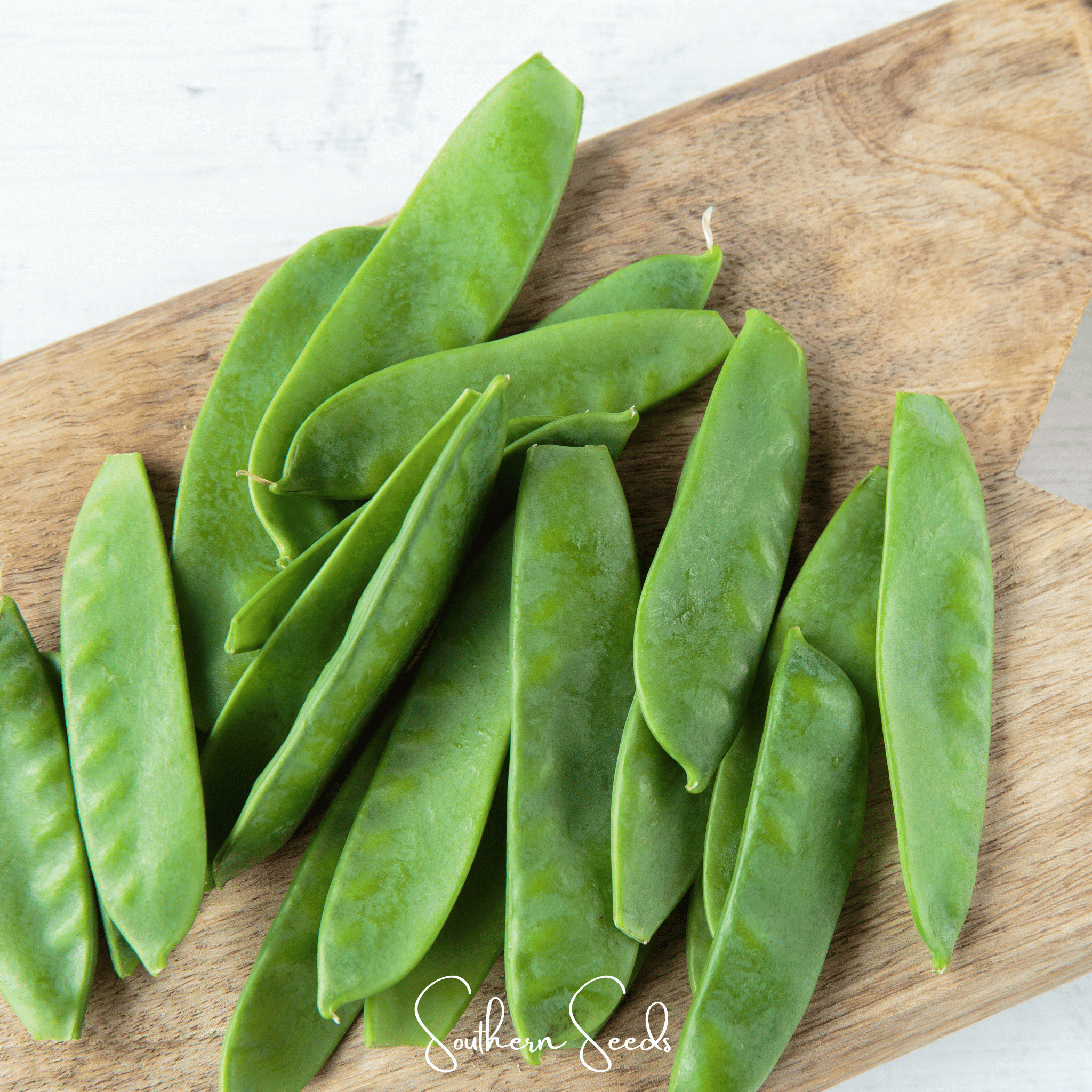 Oregon Sugar II Snow Peas – 25 Seeds | Seeds | Wiccan Center