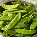 Oregon Sugar II Snow Peas – 25 Seeds | Seeds | Wiccan Center