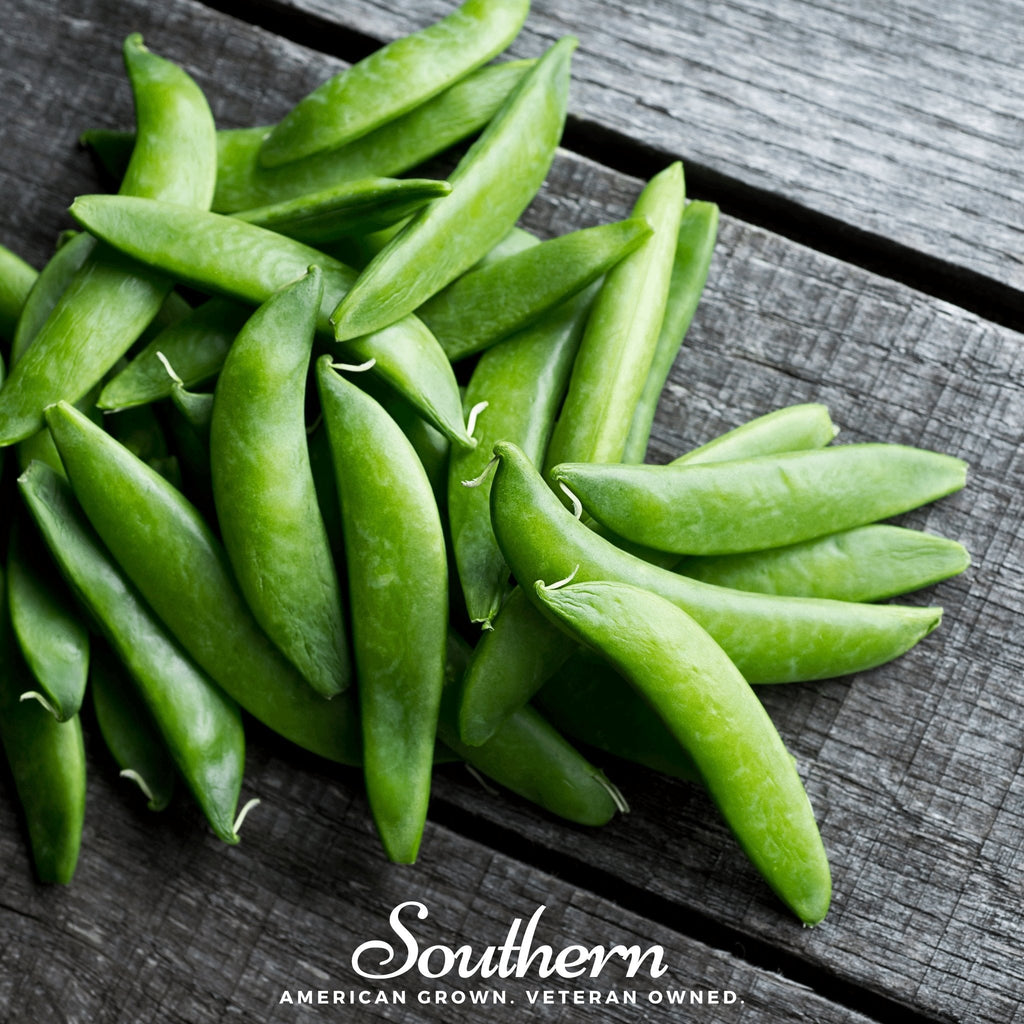 Sugar Daddy Peas – 20 Seeds | | Wiccan Center