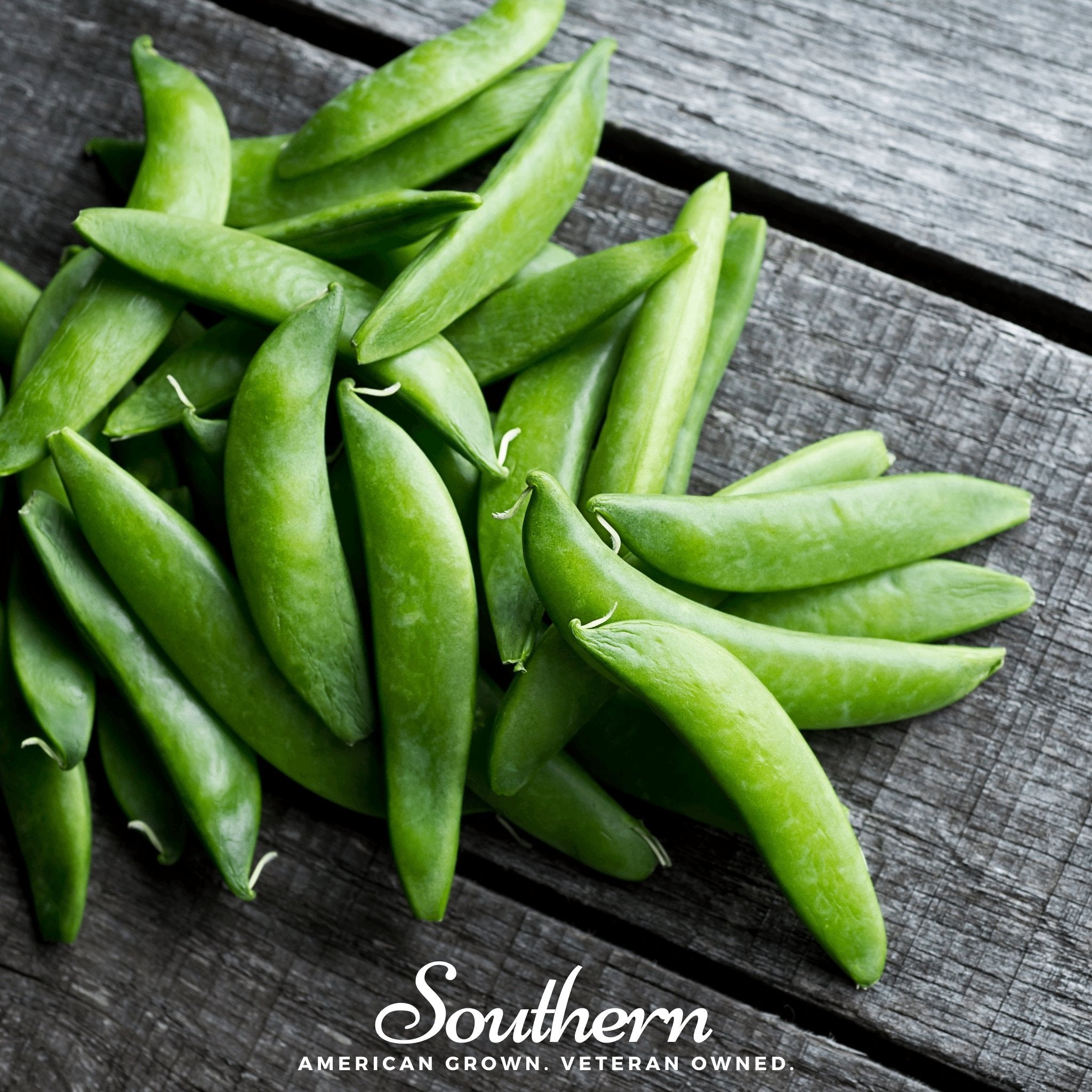 Sugar Daddy Peas – 20 Seeds | | Wiccan Center