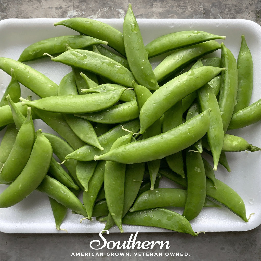 Sugar Snap Peas – 20 Seeds | Seeds | Wiccan Center