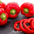 Big Red Sweet Bell Pepper – 30 Seeds | | Wiccan Center