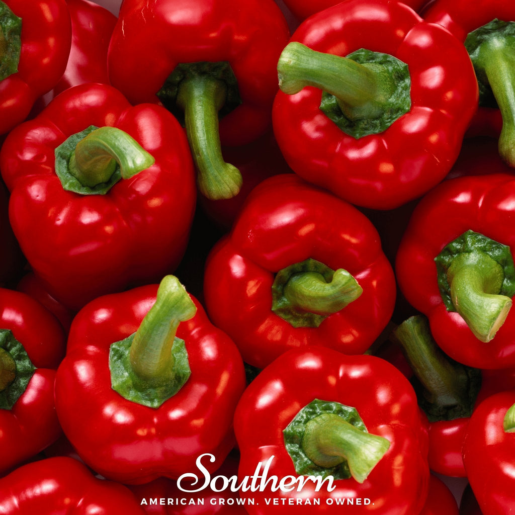 Big Red Sweet Bell Pepper – 30 Seeds | | Wiccan Center