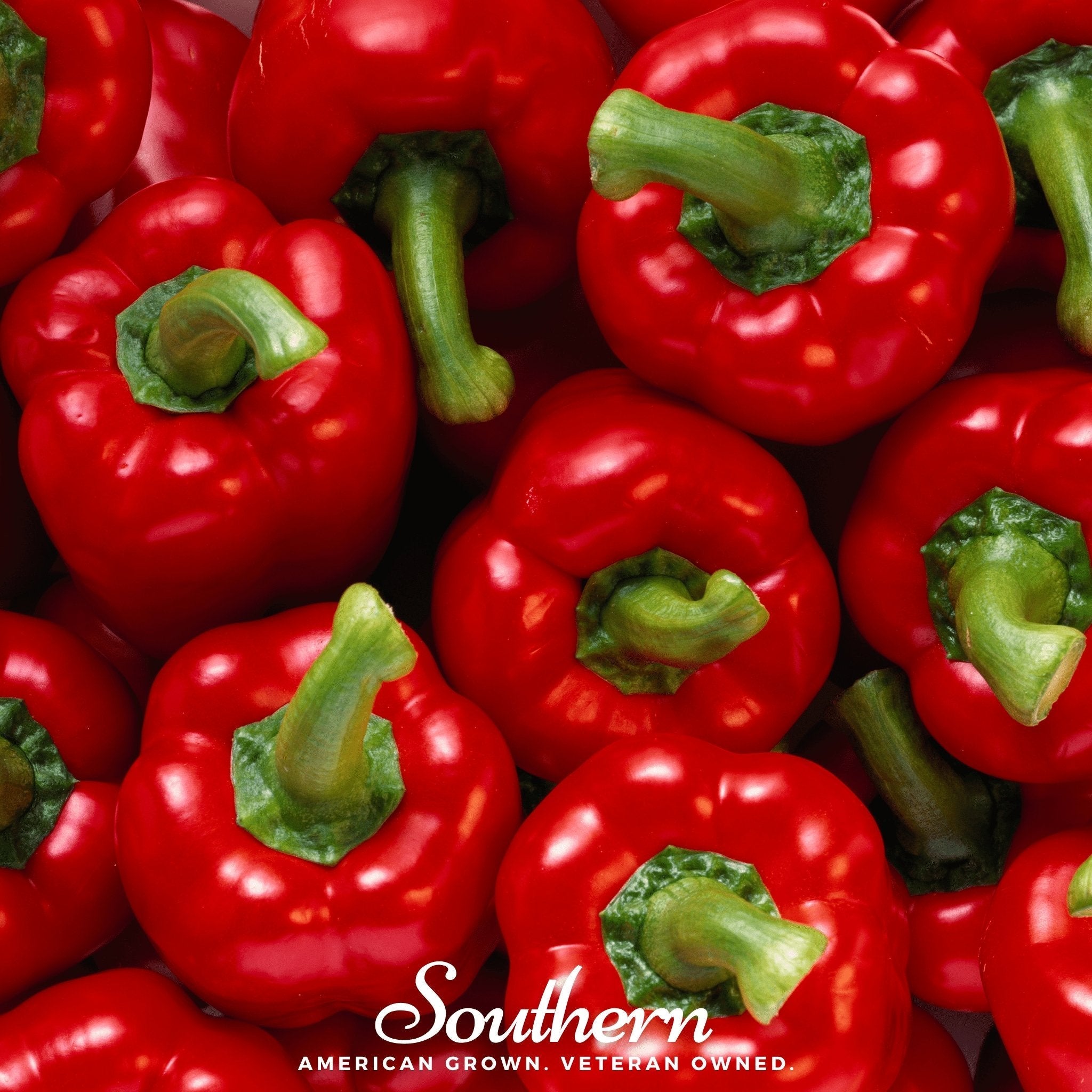 Big Red Sweet Bell Pepper – 30 Seeds | | Wiccan Center