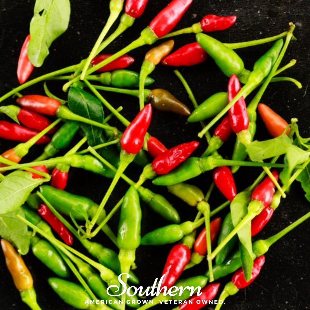 Birds Eye Chili Pepper – 30 Seeds | | Wiccan Center