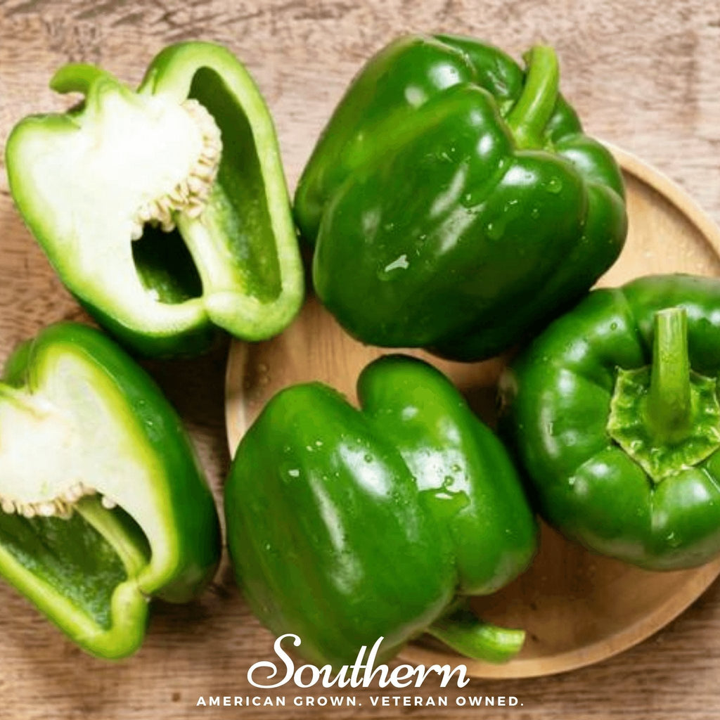 Cal Wonder Sweet Bell Pepper – 30 Seeds | | Wiccan Center