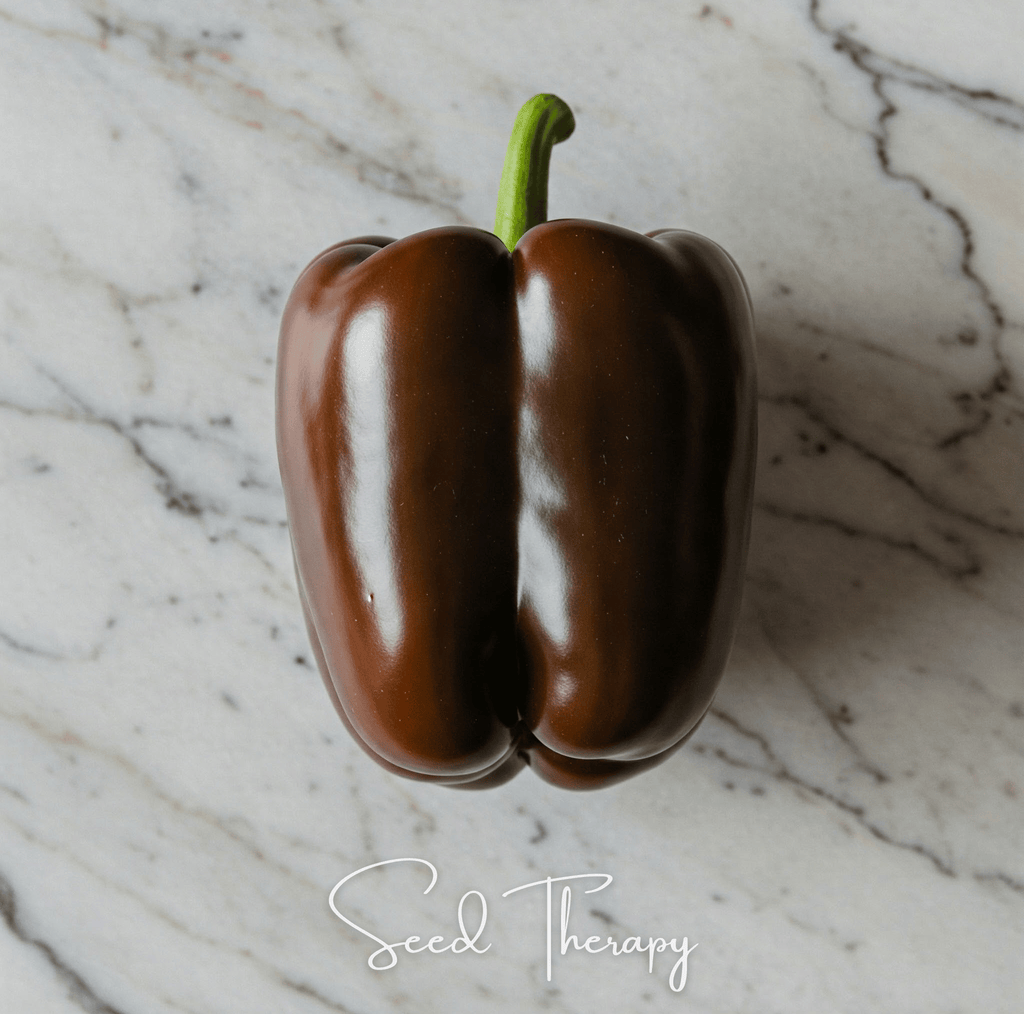 Chocolate Beauty Bell Pepper – 30 Seeds | Seeds | Wiccan Center